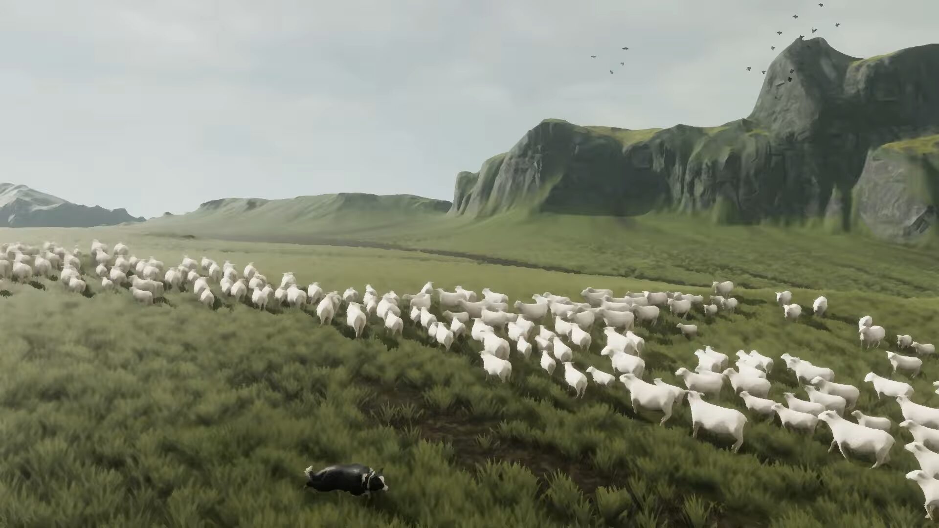 The Free Shepherd プレイ画像 羊誘導