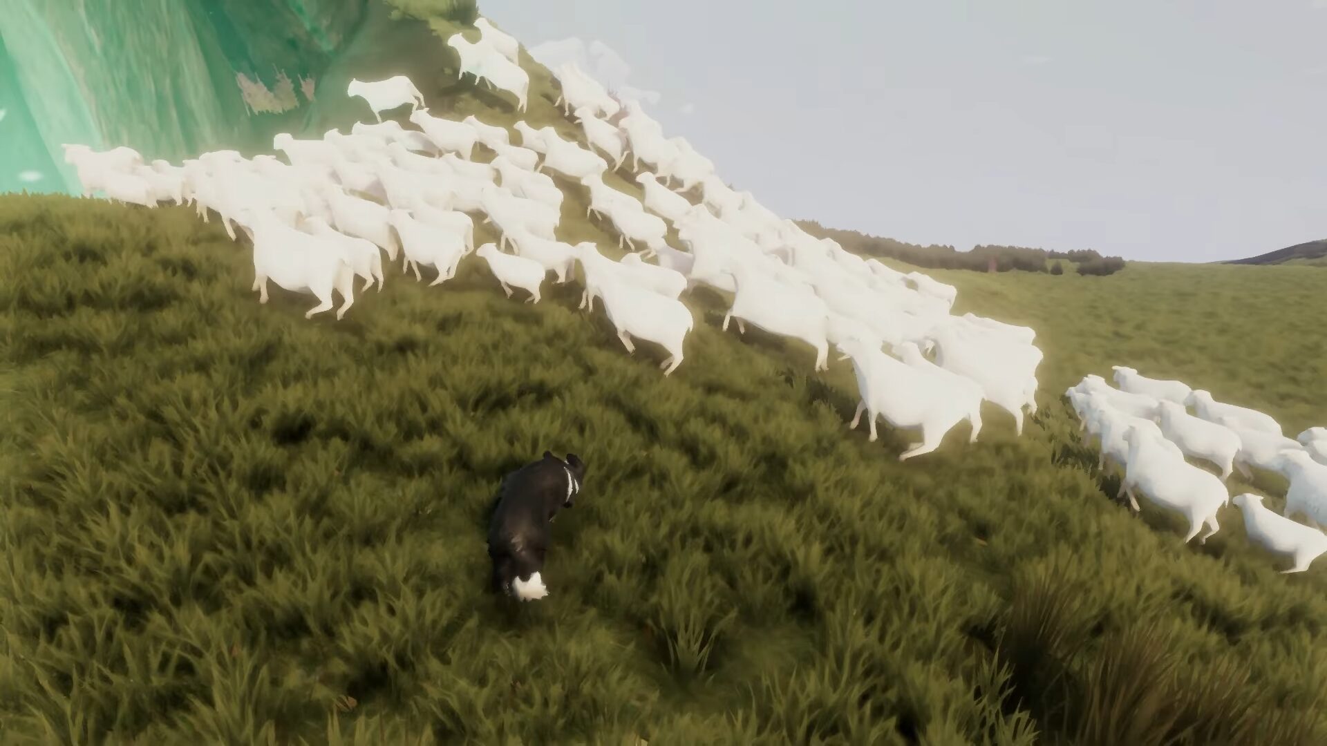 The Free Shepherd プレイ画像 羊